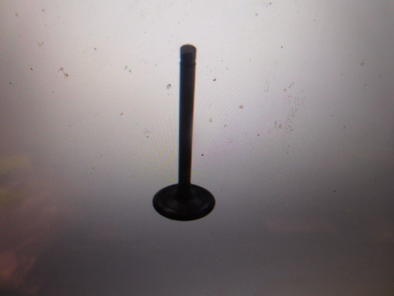 Picture 1 of 4