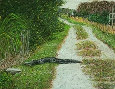 Alligator On The Trail Original Florida Wildlife Fine Art Pastel 14x11