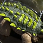 Foto 14 di 15