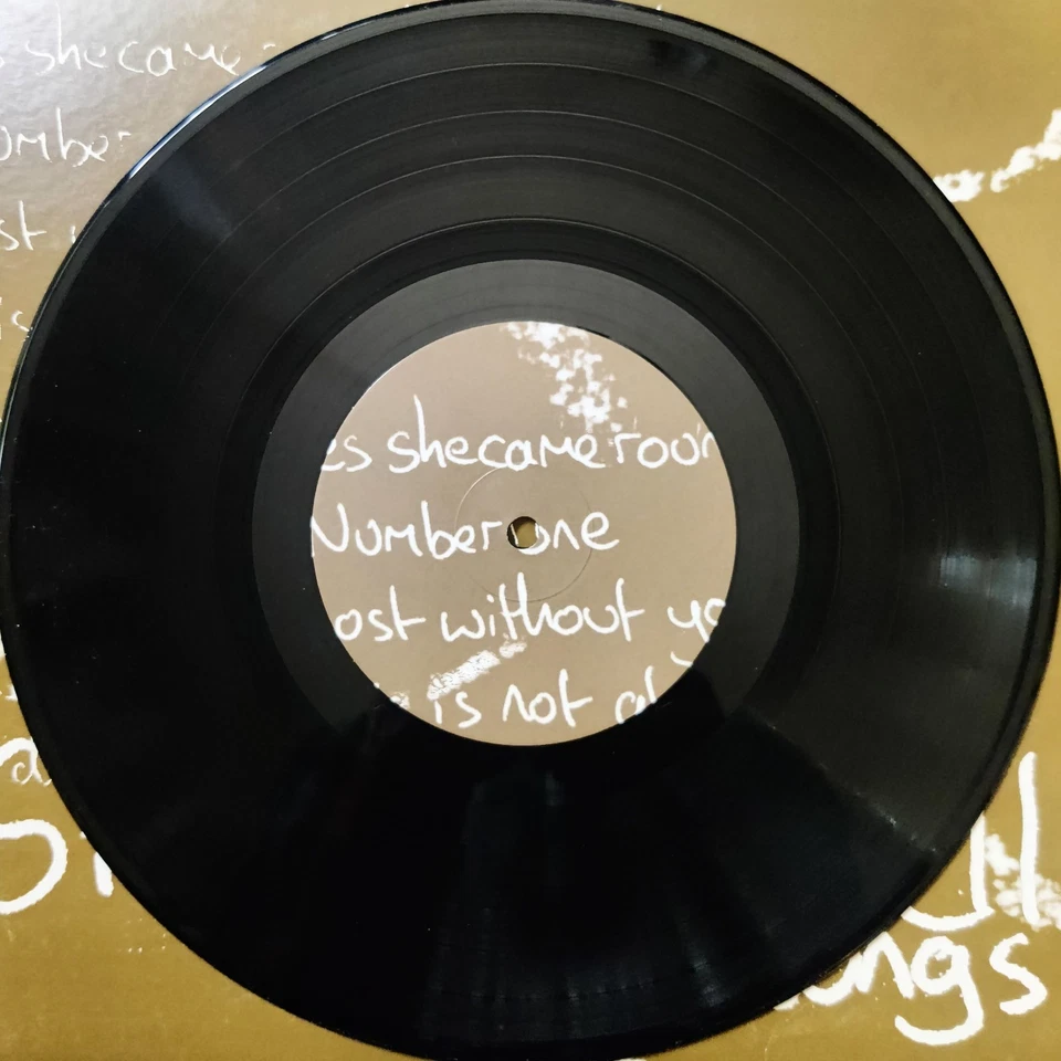 SUPER RARE Stephen Fretwell 8 Songs 10" Vinyl UK 2002 - Image 3 of 3