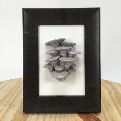 Hand-Painted Oyster Mushroom Relief Sculpture | Framed Wall Art | Handmade Cast