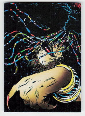 1992 Comic Images Spider-Man: The McFarlane Era #23 The Witch