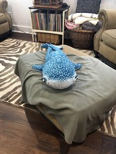 Finding Dory Spotted Shark Plush 28