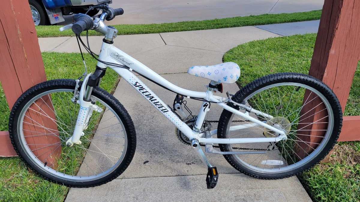 Louis Vuitton bike.  Louis vuitton, Vuitton, Louis