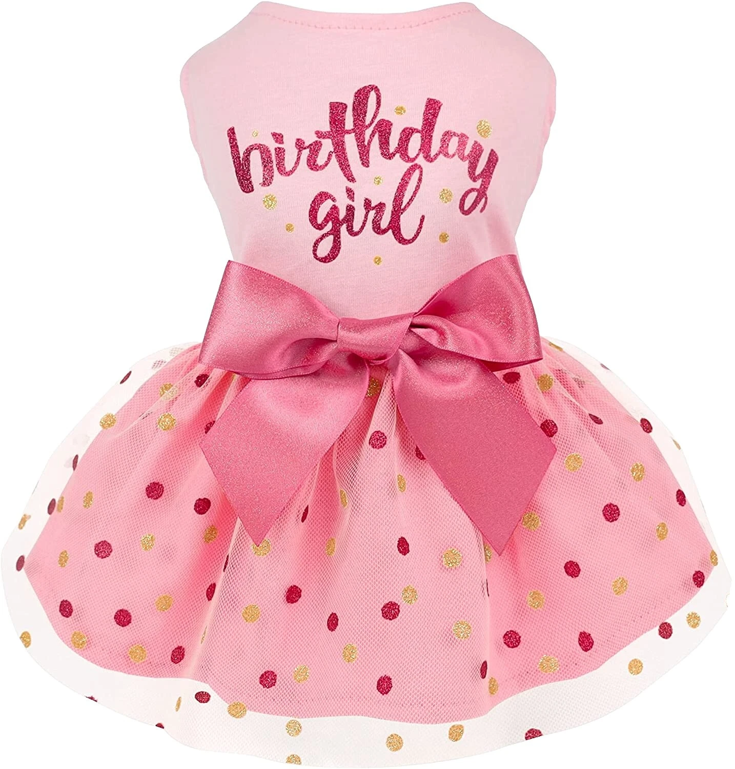 Ropa y zapatos para perro de Cumpleaños