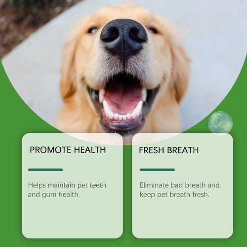 YEGBONS Dental Power Pet Dog Teeth Cleaning Powder Freshens Breath XRYH - Picture 9 of 17