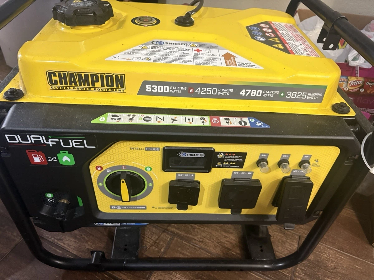 Champion Dual Fuel Power Generator Generators for Sale - eBay