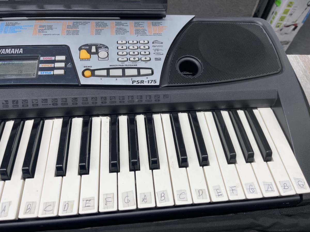 鍵盤楽器 YAMAHA PSR-175 Yamaha PSR-175 - What To Know & Where To Buy | Equipboard
