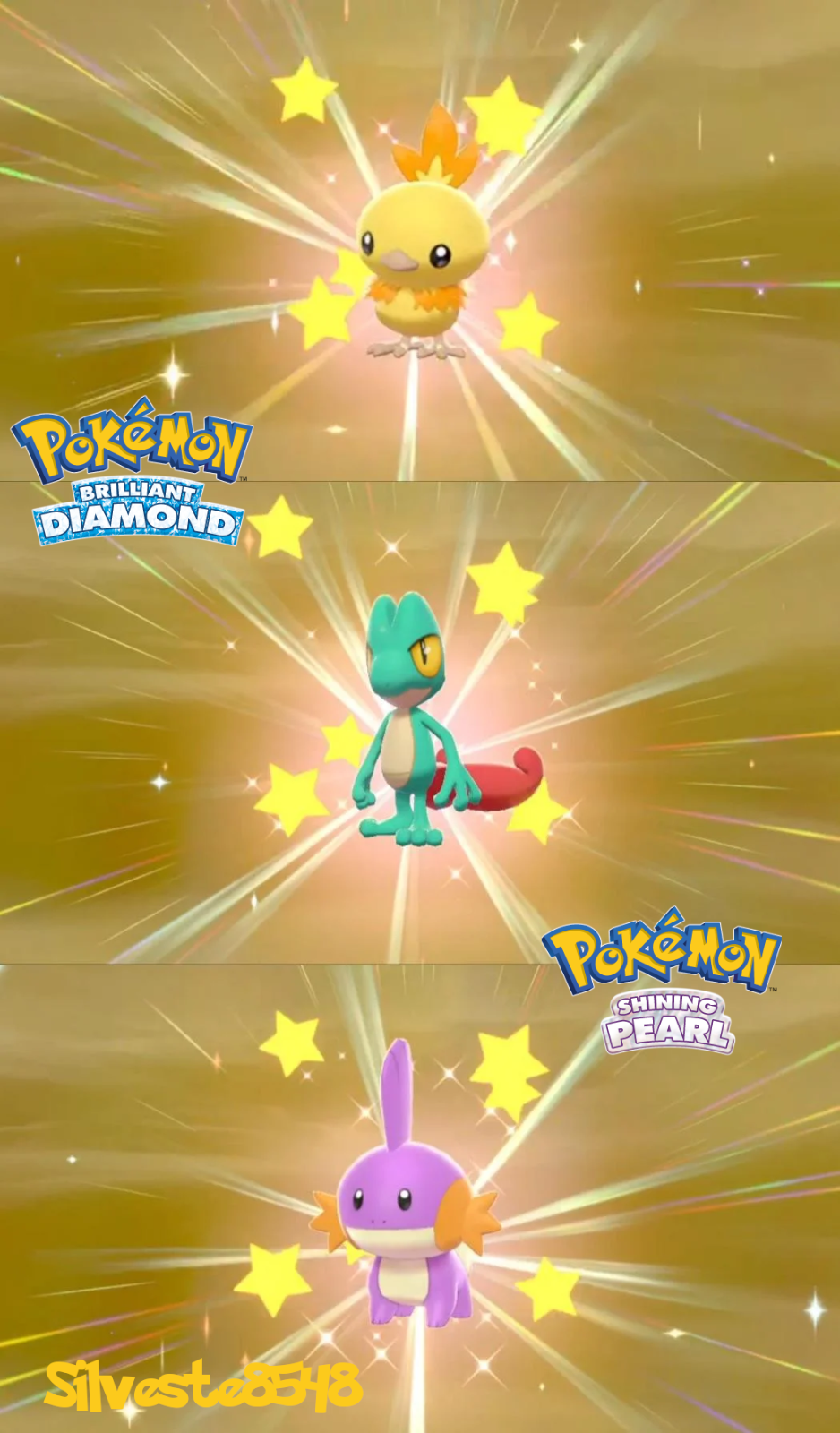 6IV Ultra Square Shiny Hoenn Starters with Hidden Abilities & Master Balls  Bundle for Pokemon Sword, Shield, Brilliant Diamond, and Shining Pearl -  elymbmx