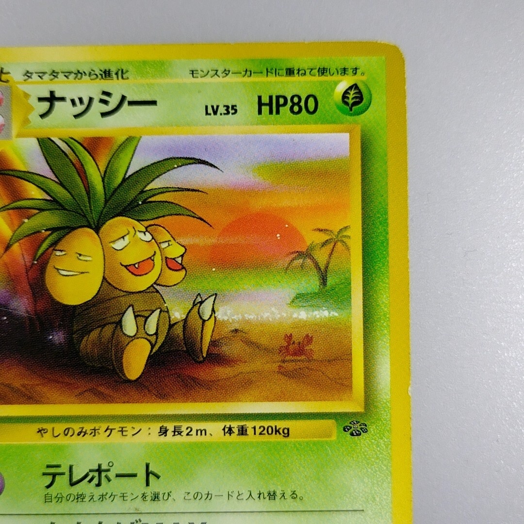 Exeggutor ナッシー ポケモンカード 英語版 ナッシー 海外版 英語版 Exeggutor 海外限定イラスト【Card