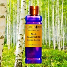 Birch Essential Oil  8 oz  100 PURE  NATURAL  Premium Therapeutic Grade