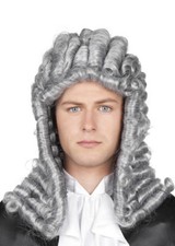 Adult Grey Fancy Dress Judge Wig Fancy Dress Accessory Barrister Character Wig