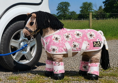 Le Mieux Spielzeug Pony. Wattierte Stiefel. Heckschutz & Teppich Reiseset