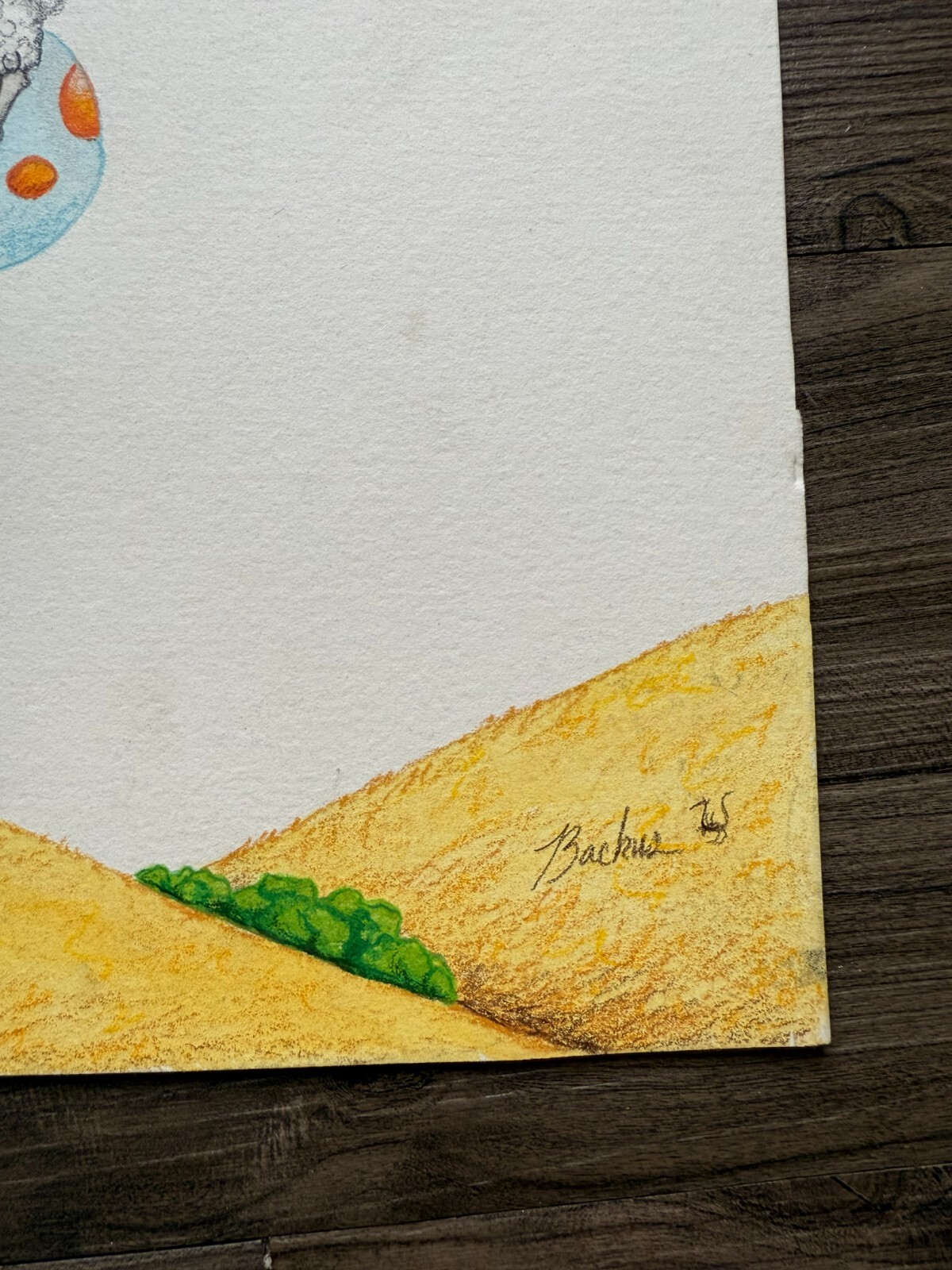 Picture 4 of 5