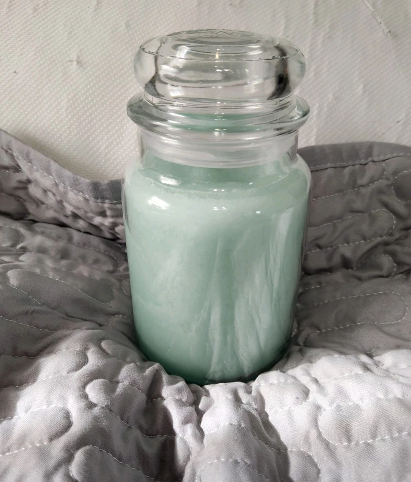 Yankee Candle ALOE & AGAVE tarro grande 22 OZ calentador de casa verde flora limpia fresca Foto 2 de 3