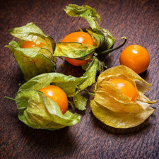 20 Rare Organic Goldie Husk Cherry Seeds-Sweet Ground Cherry Physalis Heirloom