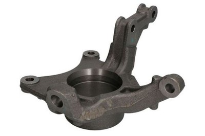 REINHOCH RH08-2032 Achsschenkel, Radaufhängung für DACIA,RENAULT