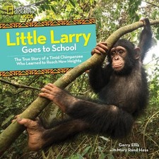 Little Larry Goes to School (Hardback)