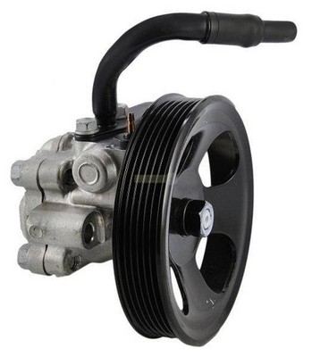 Servopumpe 5710026100 Neu Original OEM für *** Kia Hyundai Santa Fe 2.7