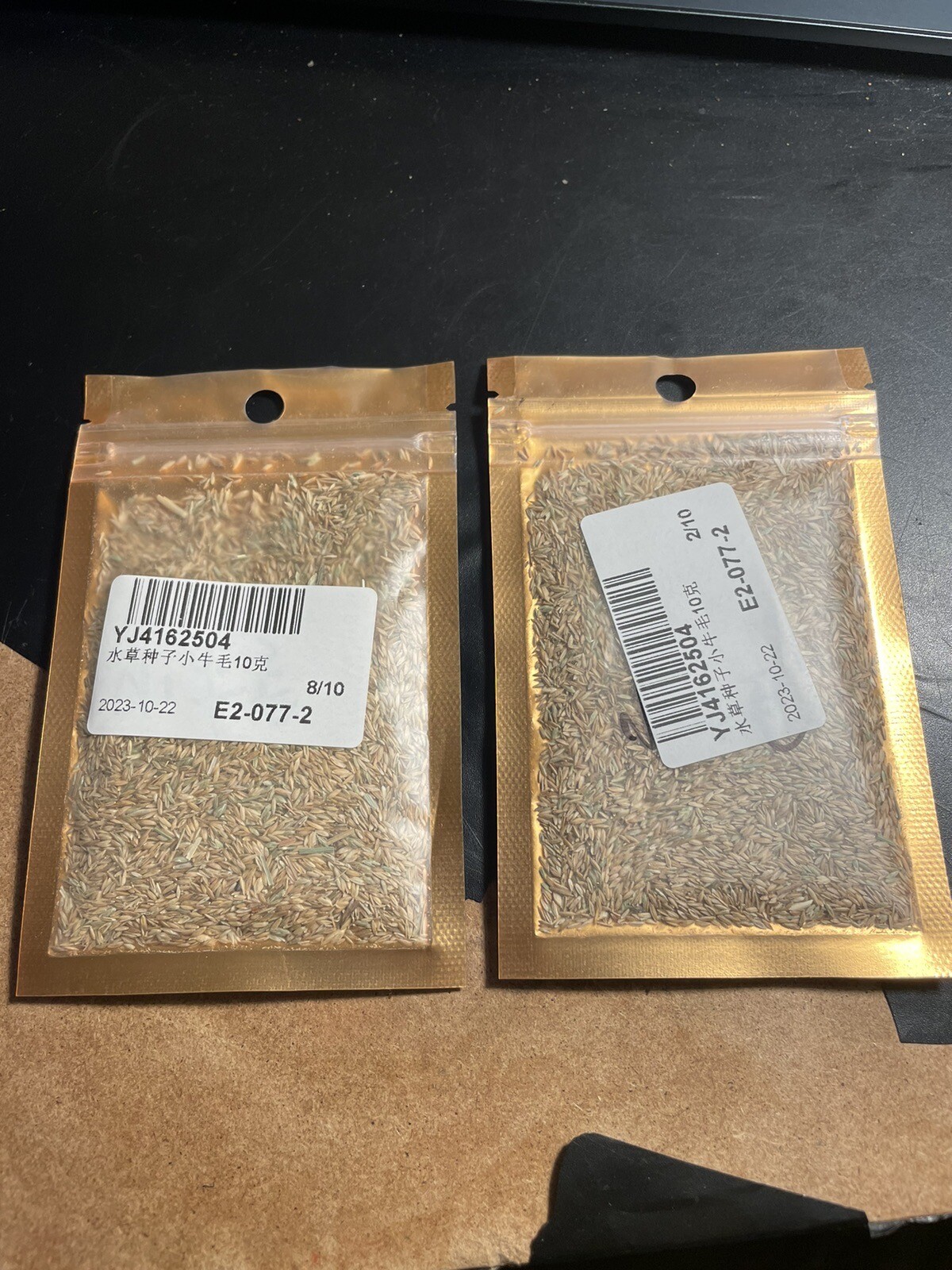 (2 Packs) Zenith Zoysia Grass Seeds/ Lawn grass 10000++ Seeds eBay