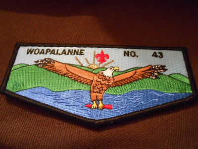 Woapalanne 43 flap s1 OAE