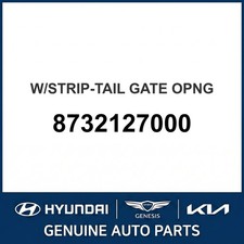1996-2001 Hyundai Tiburon Wstrip-tail Gate Opng Oem New 8732127000