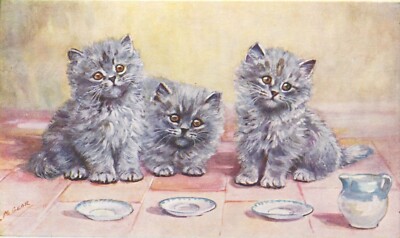 BLAUE PERSISCHE KÄTZCHEN, KATZE, M GEAR - Tier Postkarte J Lachs