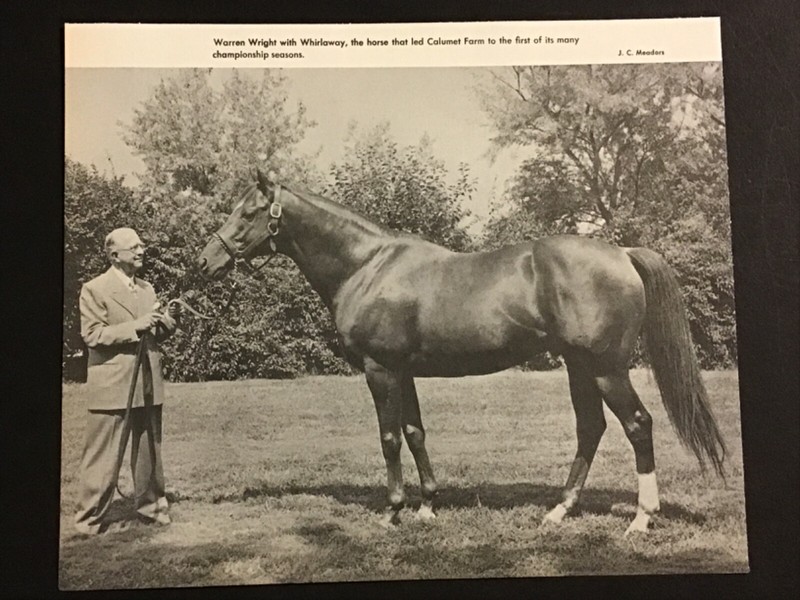 WHIRLAWAY photo Horse Racing 1941 Triple Crown