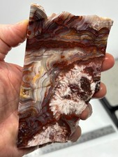 Mexican Laguna Crazy Lace Agate Slab Cabbing Collecting Combo Ship Avail