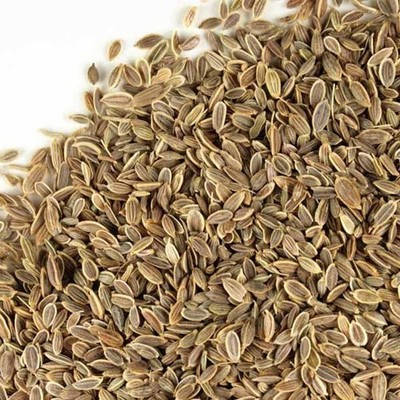 WholeSALE!! Dill Seed PREMIUM Dried Whole-4 oz, 1, 2, 5 lbs.