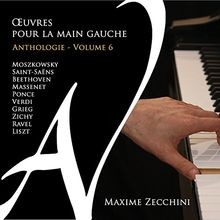 Oeuvres Pour La Main Gauche V. 6 Von Multi-Artistes | CD | Zustand Neu-image