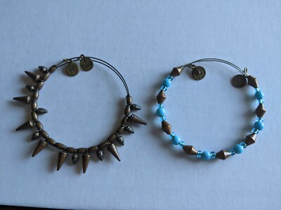 Alex and Ani charm bracelet