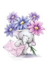 Bild 64 von 66