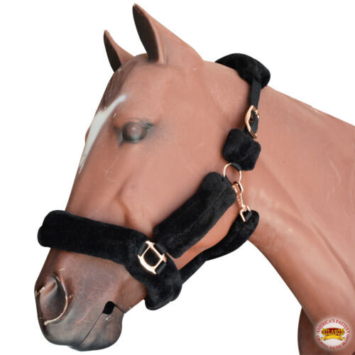 79AI Hilason 10 pièces Kit de toilettage pour chevaux gris premium sac noir
