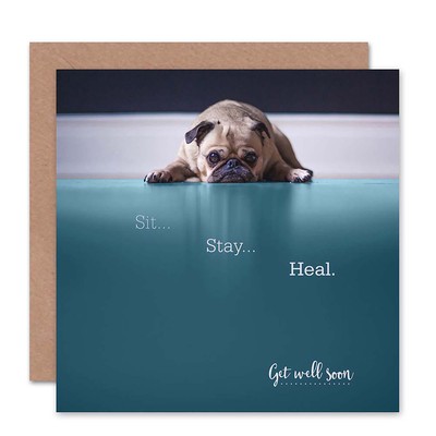 Get Well Sit Stay Heal Cute Dog Blank Greeting Card With Envelope