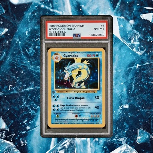 Pokemon Gyarados 6/102 First Edition Base Set Spanish PSA 8