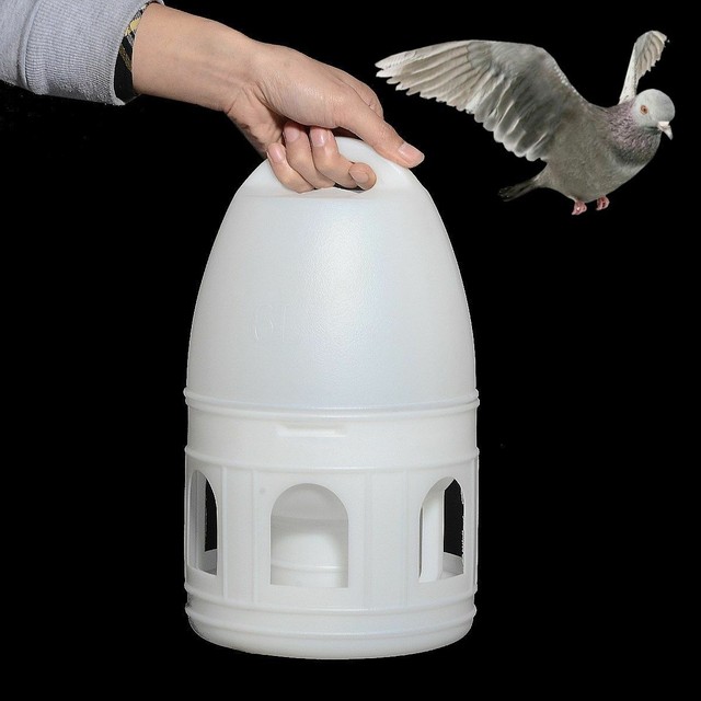 Bird Pigeons White Plastic Water Fountain Drinking Bowl Drinker