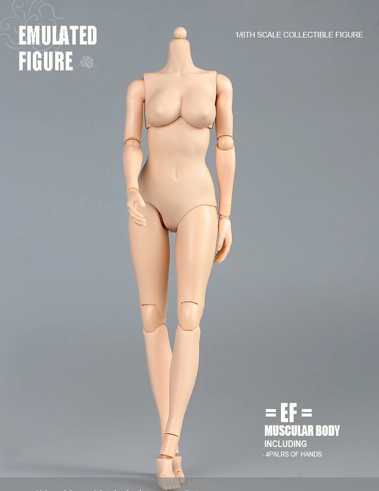 US SOTCK 1:6 Female Pale Skin Large Breast 12inch Flexible Figure Body Model Toy - Image 4 of 4