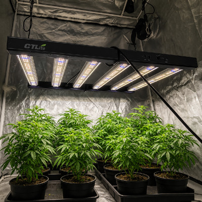 4000W Spider LED Foldable Grow Light Bar 4x4ft Full Spectrum Dimmable Commercial
