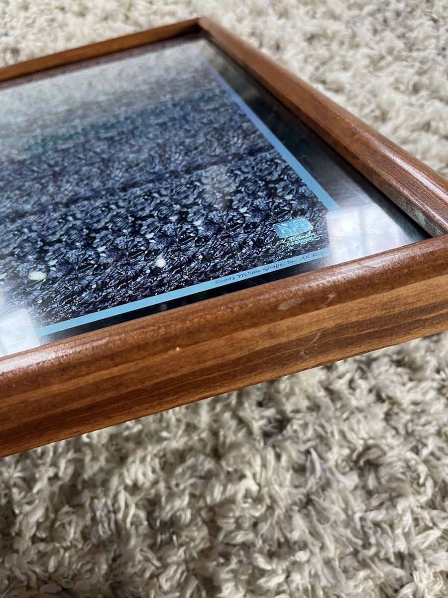 Nvision Grafix HOLUSION 3D Framed Poster 1993 “Desert Serenade