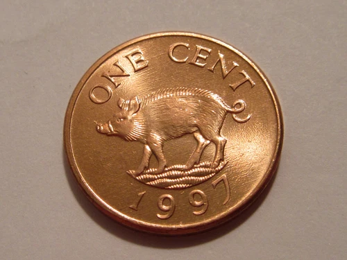 1997 Bermuda coin one cent  PIG   Uncirculated Beauty sweet classic coin