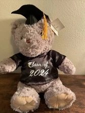 Modern Expressions Gray Stuffed Bear Cap And Shirt class of 2024 New