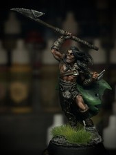 Fighter Barbarian Warrior Miniature Dungeons  Dragons Pro Painted Mini DnD