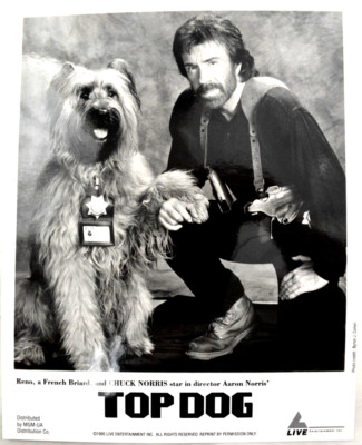 Chuck Norris Top Dog  1995 MGM-UA Studio Press Photo Still B&W 8 x 10''