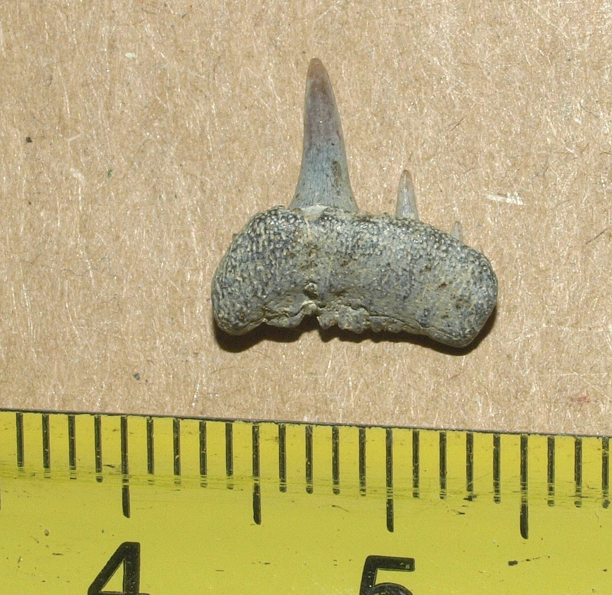 Picture 2 of 15