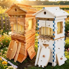 2X Beehive Flowing Mini Auto Shed Brood Wooden House With 20X Bee hive Frames