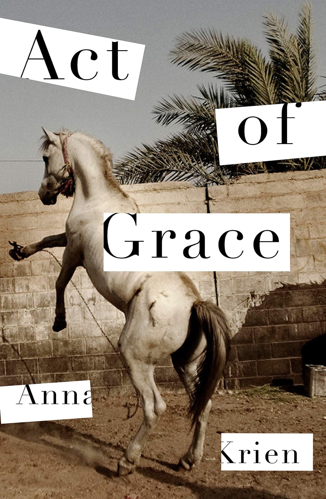 Act of Grace by Anna Krien Paperback Literary Fiction Novel Serpent's Tail