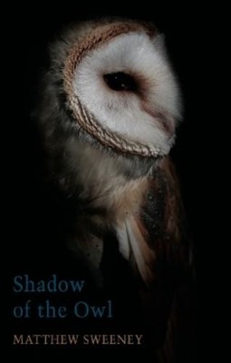 Matthew Sweeney Shadow of the Owl (Taschenbuch)