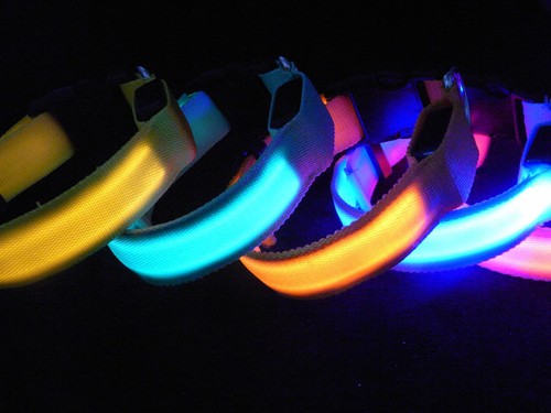 LED Glow Collar Dog Puppy Pet Flashing Light Safety Glow In The Dark FAST POST - Picture 38 of 81