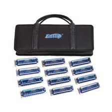 Harmonica Set 12 key Blues Harp 008K Professional Diatonic Harmonicas 10 Hole...